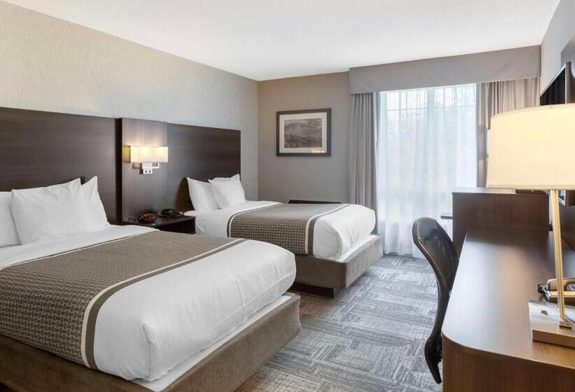 غرفه قياسيه سريرين مزدوجين, Best Western Milton