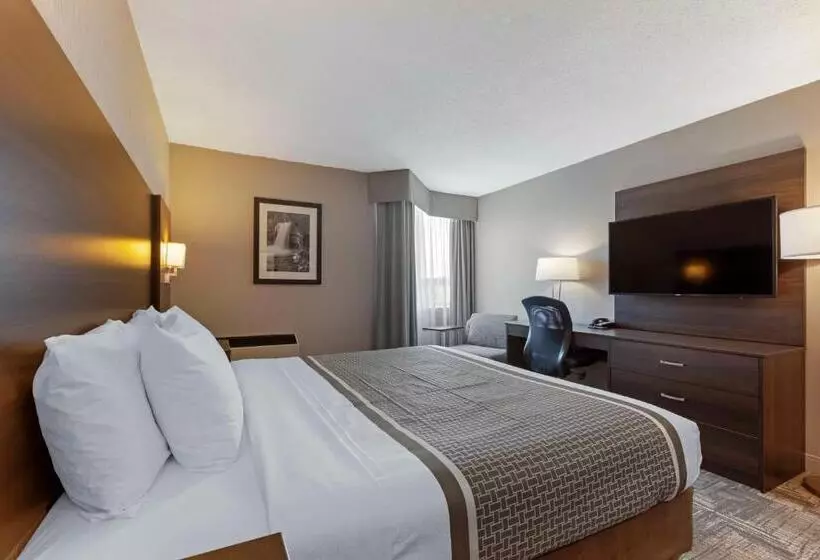 キングサイズベッドのスタンダードルーム, Best Western Milton