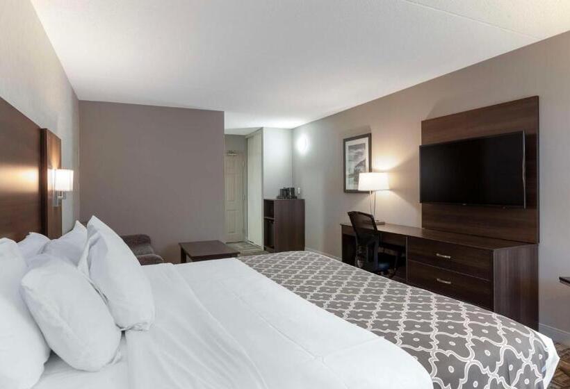 غرفة قياسية سرير كينج, Best Western Milton