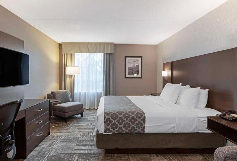 غرفة قياسية سرير كينج, Best Western Milton