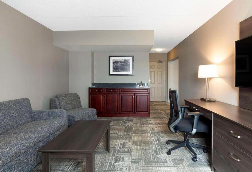 جناح سرير كينج, Best Western Milton