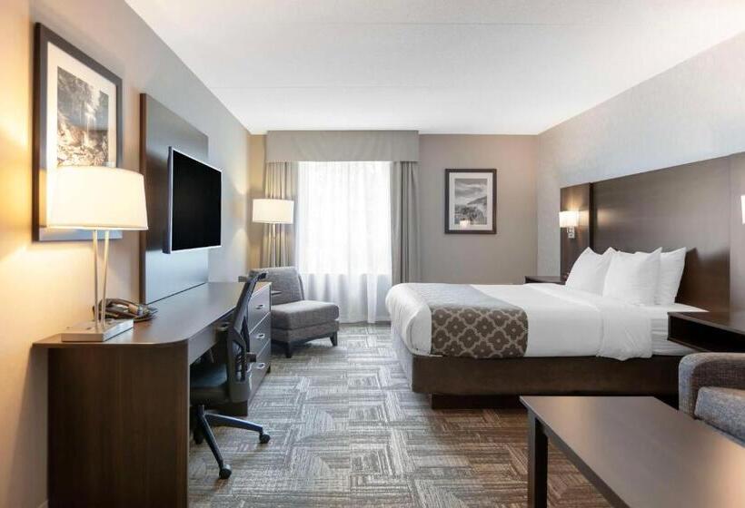 Номер Стандарт, Best Western Milton