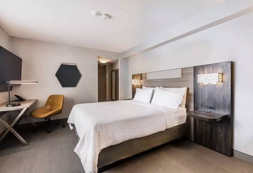 スタンダードルーム, Holiday Inn Express Toronto North York, An Ihg