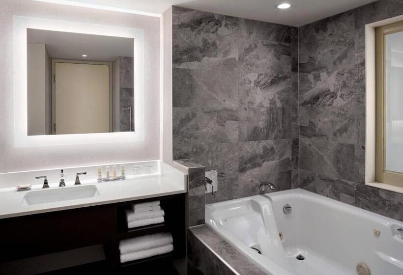 스탠다드 룸 킹사이즈 침대, Niagara Falls Marriott Fallsview Hotel & Spa