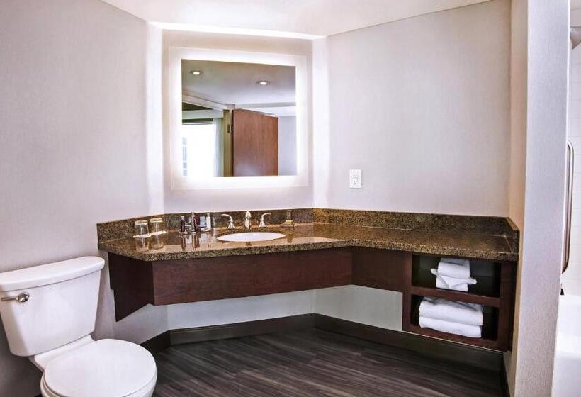 스탠다드 룸 킹사이즈 침대, Niagara Falls Marriott Fallsview Hotel & Spa