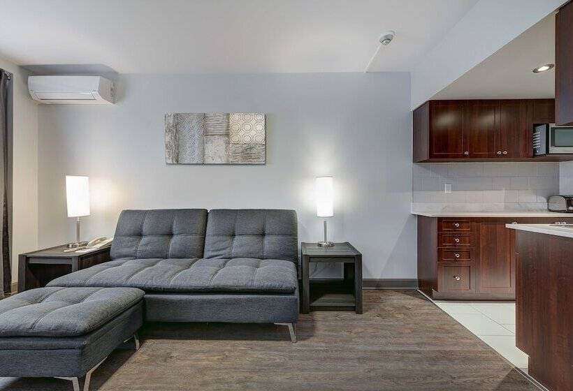 Студия Deluxe, Terrasse Royale