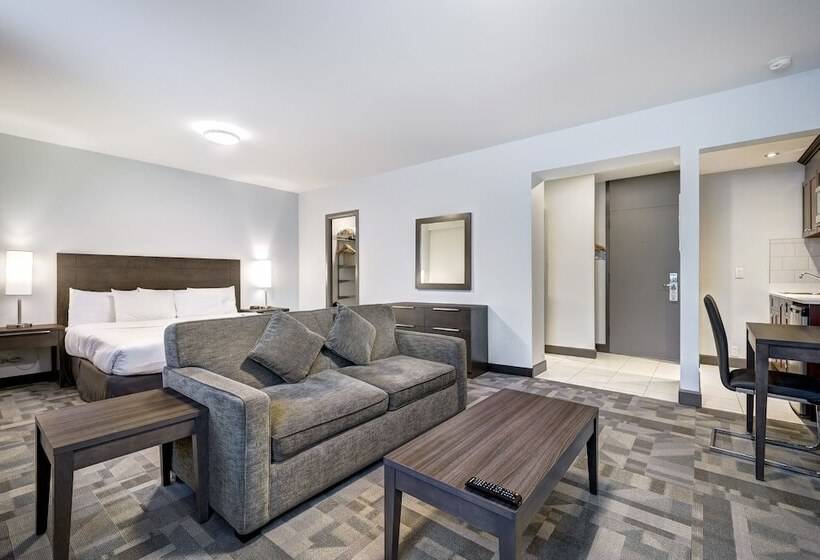 Студия Superior, Terrasse Royale