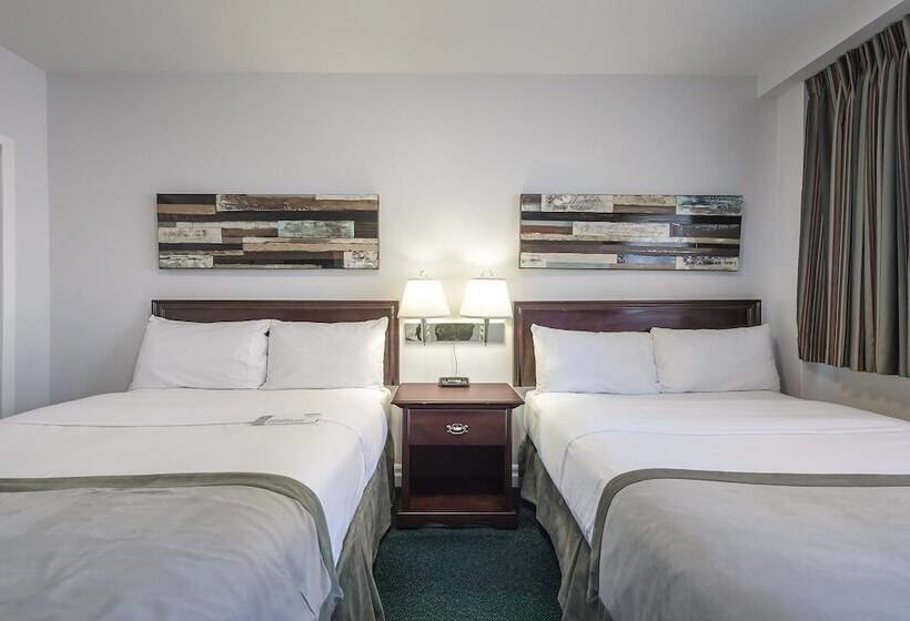 Люкс Superior, Terrasse Royale