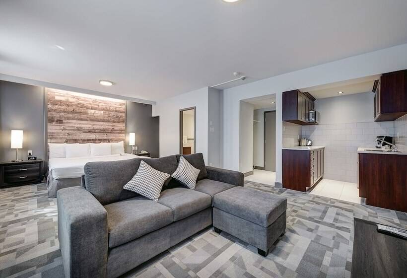 Студия Deluxe, Terrasse Royale