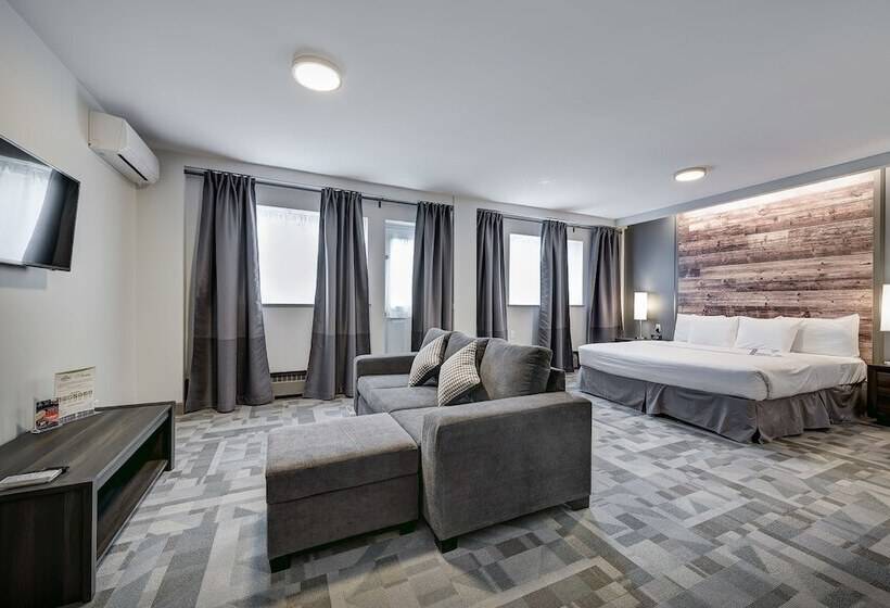 Студия Deluxe, Terrasse Royale