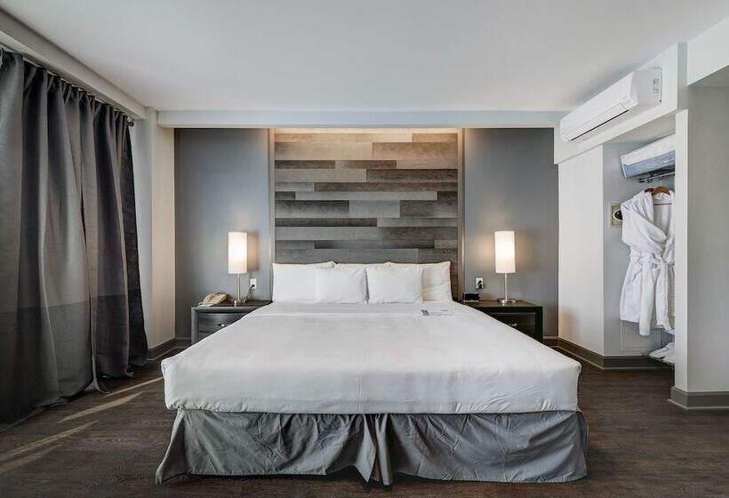 Студия Deluxe, Terrasse Royale