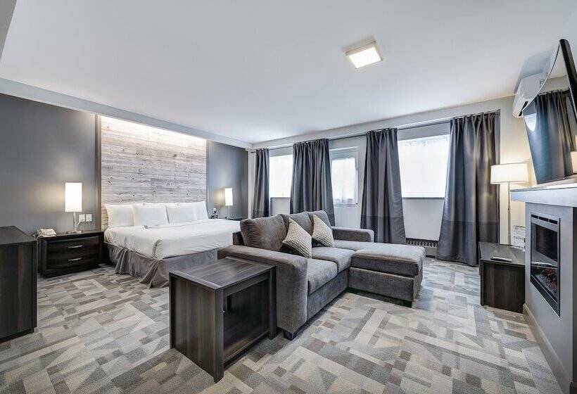 Студия Deluxe, Terrasse Royale