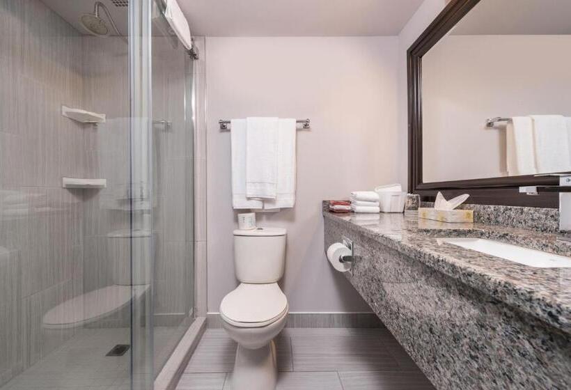 غرفة ديلوكس سرير كينج, Days Inn By Wyndham Sudbury & Conference Centre