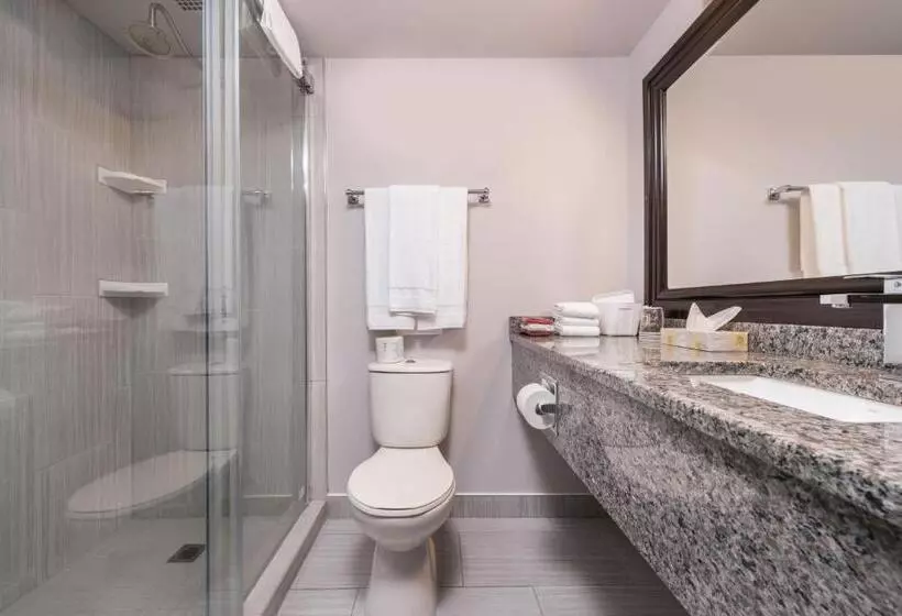 キングサイズベッドのデラックスルーム, Days Inn By Wyndham Sudbury & Conference Centre