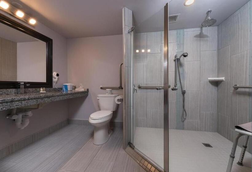 غرفة ديلوكس لذوى الاحتياجات الخاصة, Days Inn By Wyndham Sudbury & Conference Centre