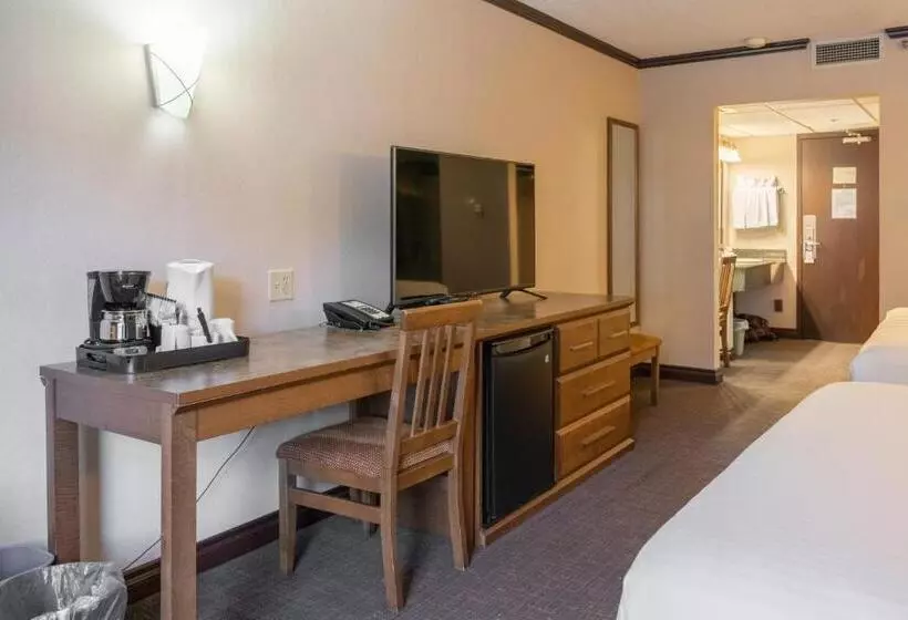 スーペリアールーム, The Rundlestone Lodge