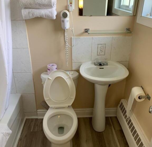 חדר סטנדרט עם מיטת קינג, Rogers Motel