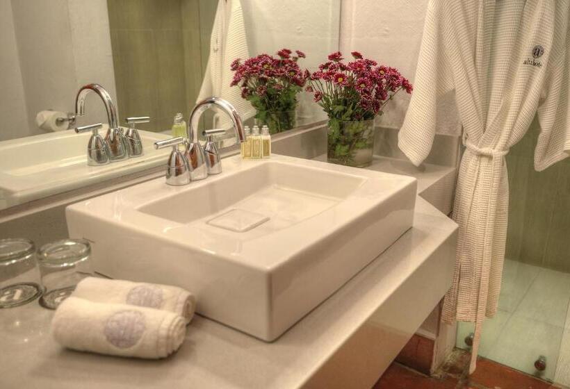 غرفة ديلوكس, Alta Las Palomas