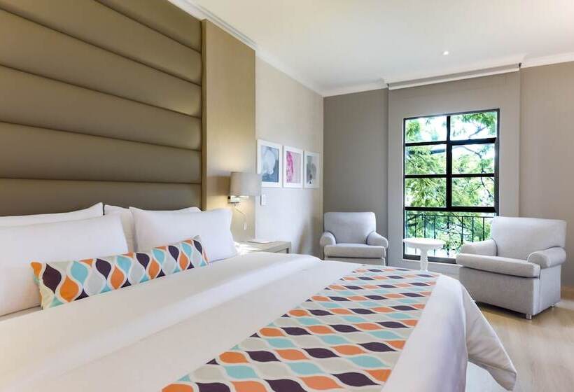 套房, Dann Carlton Medellin