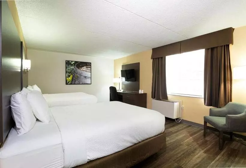 Standard-huone, Days Inn By Wyndham Fallsview