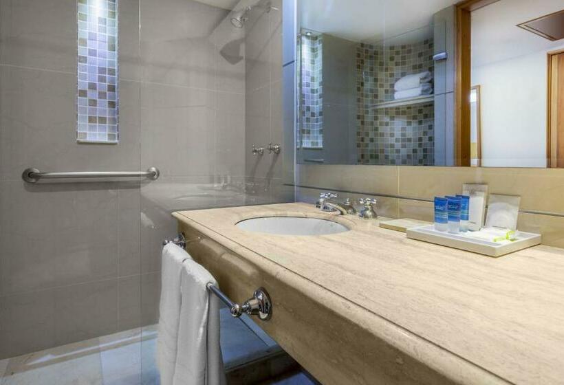 带2个双人床的标准工作室, Four Points By Sheraton Medellin