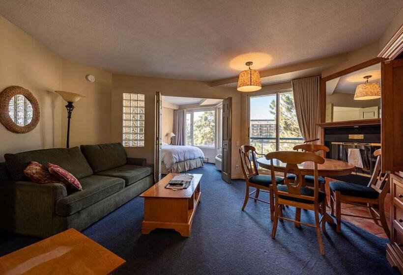 1ベッドルームアパートメント, Hebergement Montsteanne Condos