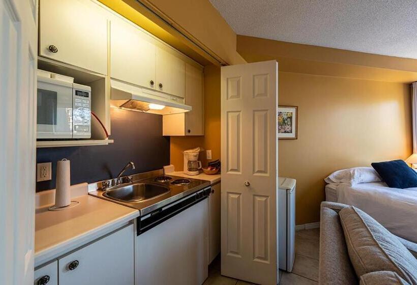 1ベッドルームアパートメント, Hebergement Montsteanne Condos