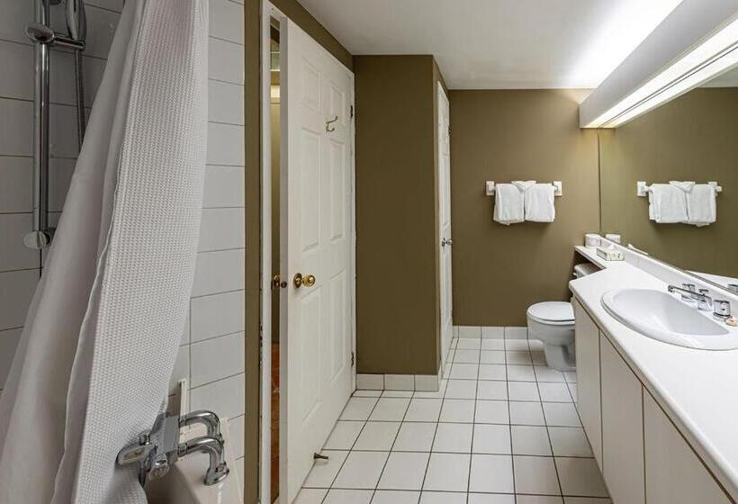 1ベッドルームアパートメント, Hebergement Montsteanne Condos