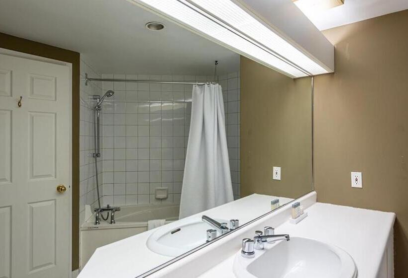 １ベッドルームアパートメント, Hebergement Montsteanne Condos