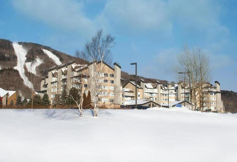 １ベッドルームのスーペリアアパートメント, Hebergement Montsteanne Condos