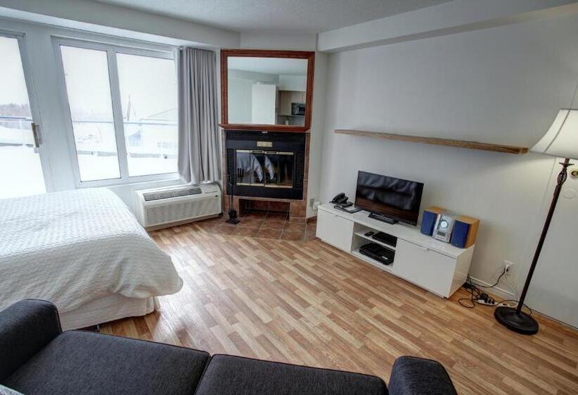 １ベッドルームのスーペリアアパートメント, Hebergement Montsteanne Condos