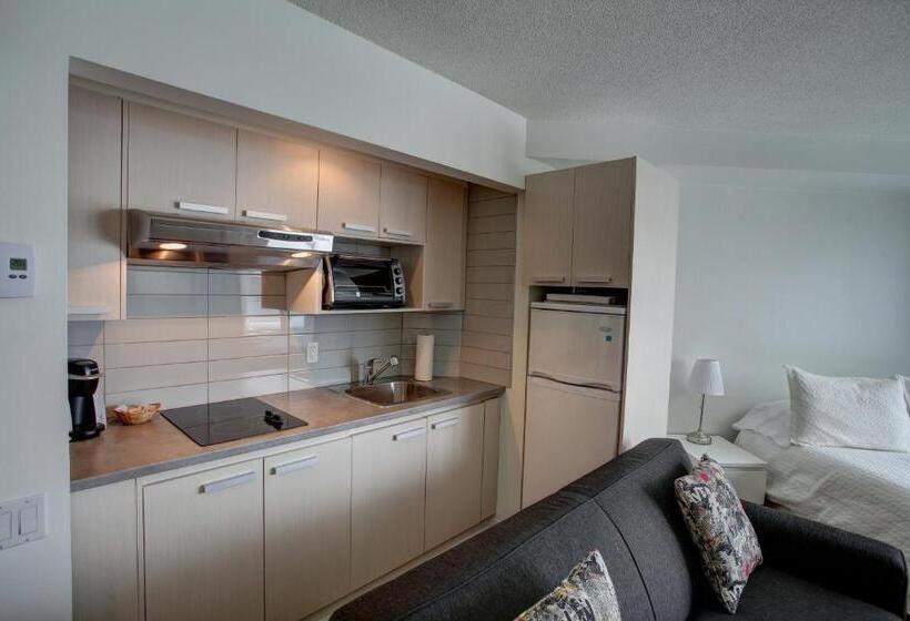 1ベッドルームのスーペリアアパートメント, Hebergement Montsteanne Condos