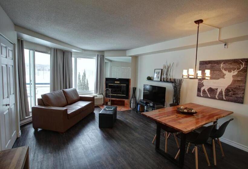 バルコニー付き1ベッドルームアパートメント, Hebergement Montsteanne Condos