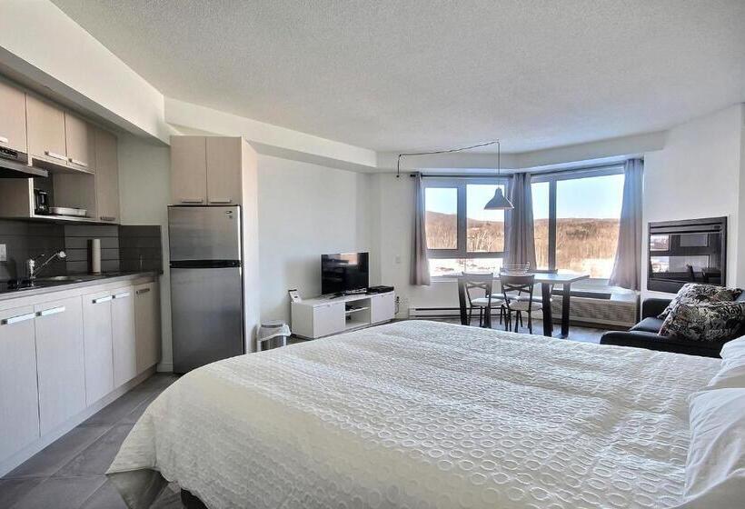 1ベッドルームのスーペリアアパートメント, Hebergement Montsteanne Condos