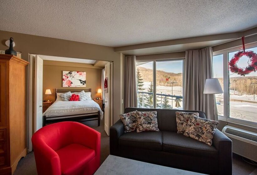 １ベッドルームのスーペリアアパートメント, Hebergement Montsteanne Condos