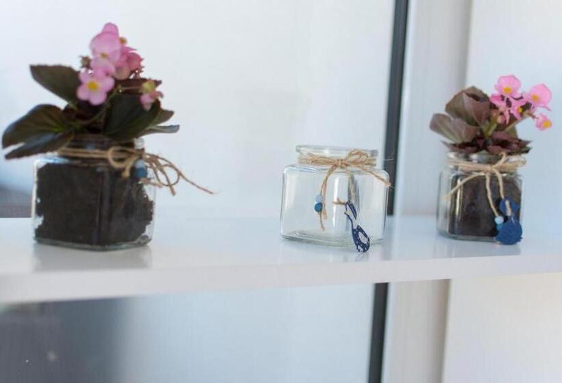 Łóżko we Wspólnym Pokoju, Hostel Petra Marina