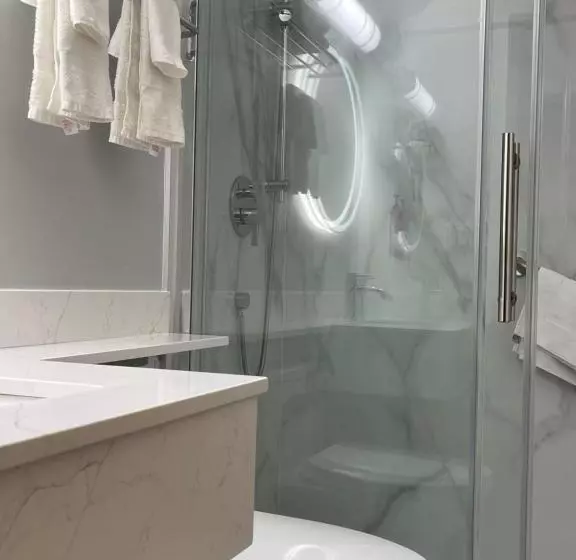 Standard-huone, Surestay Plus By Best Western Brooks