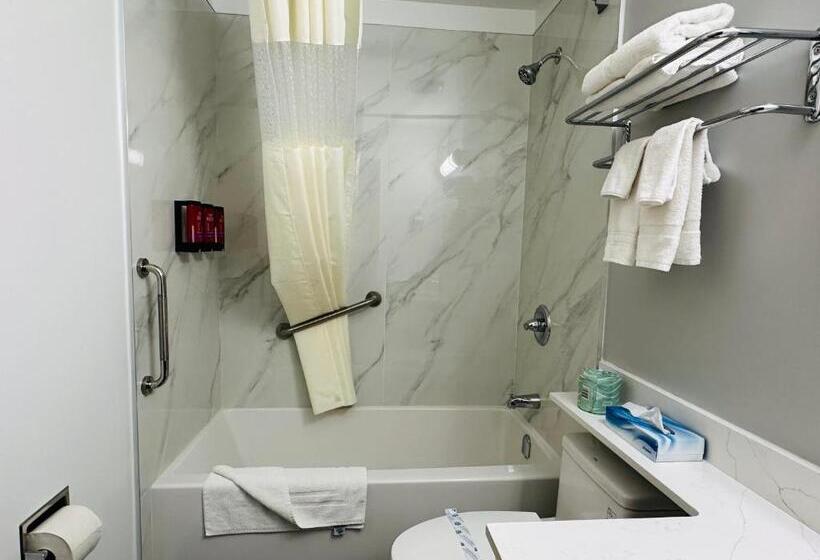 غرفة قياسية, Surestay Plus By Best Western Brooks