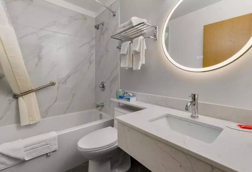 Standard-huone King-vuode, Surestay Plus By Best Western Brooks