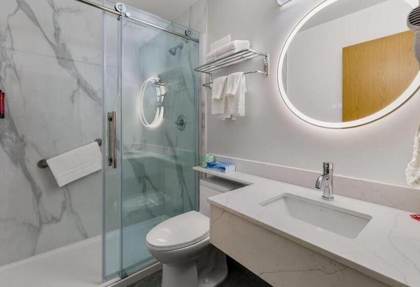 غرفة قياسية سرير كينج, Surestay Plus By Best Western Brooks