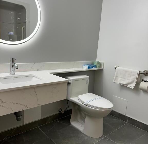 غرفة قياسية سرير كينج لذوى الإحتياجات الخاصة, Surestay Plus By Best Western Brooks