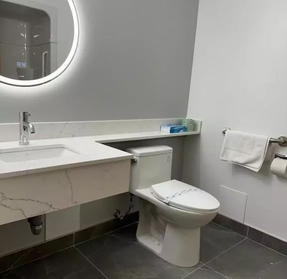 Standard-invahuone King-vuode, Surestay Plus By Best Western Brooks