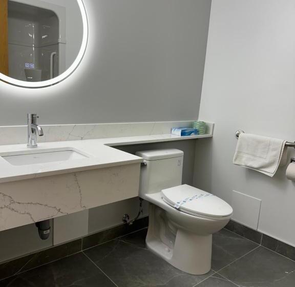 غرفة قياسية سرير كينج لذوى الإحتياجات الخاصة, Surestay Plus By Best Western Brooks