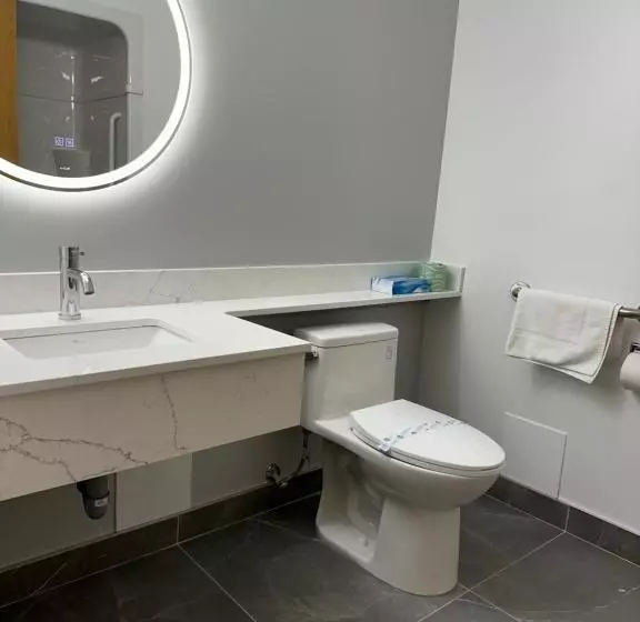 Standard-invahuone King-vuode, Surestay Plus By Best Western Brooks