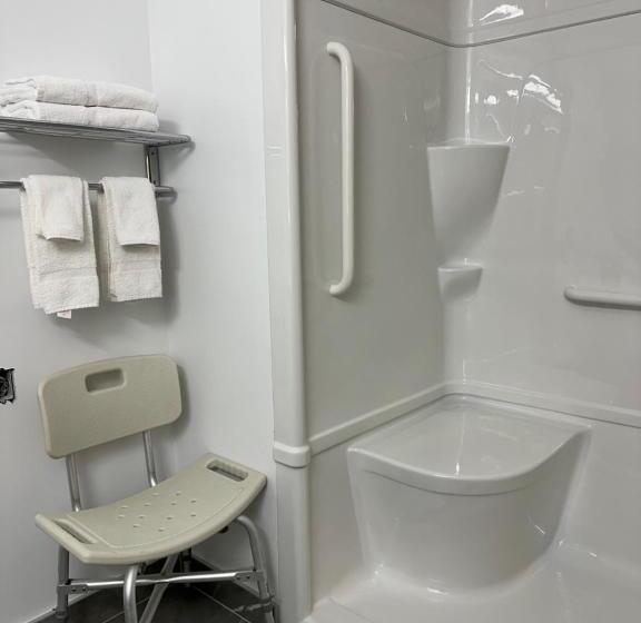 غرفة قياسية سرير كينج لذوى الإحتياجات الخاصة, Surestay Plus By Best Western Brooks