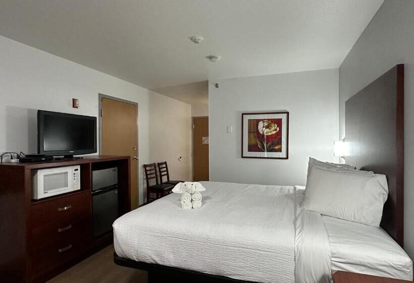 غرفة قياسية سرير كينج لذوى الإحتياجات الخاصة, Surestay Plus By Best Western Brooks