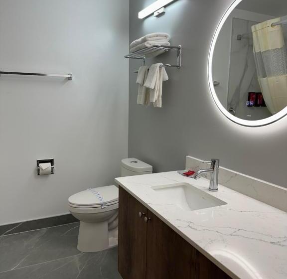 Люкс Кровать Кинг, Surestay Plus By Best Western Brooks