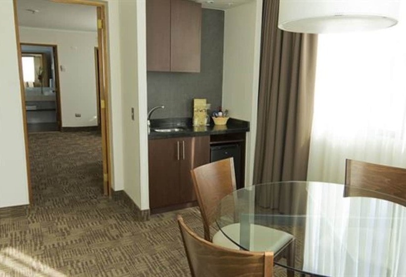 סוויטה, Director Vitacura