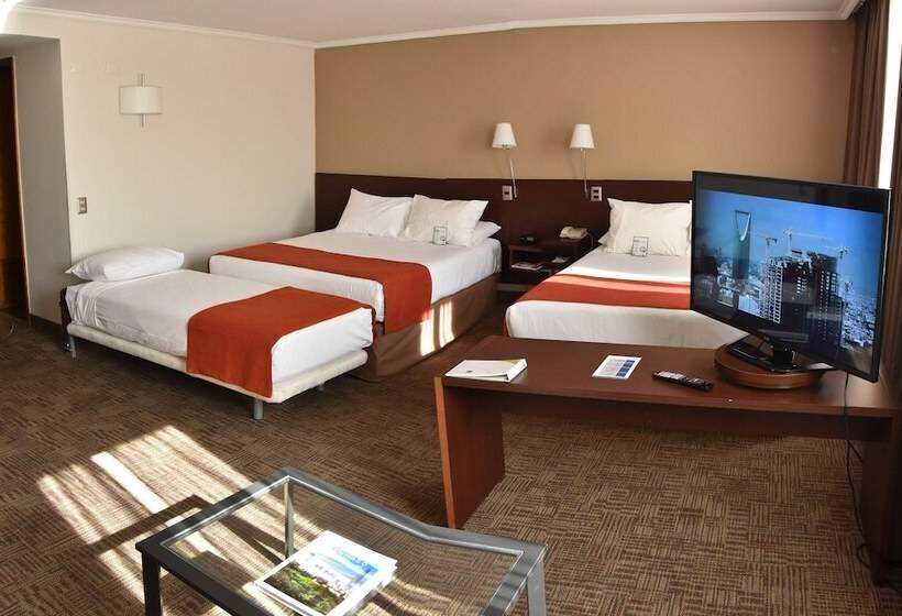 חדר סטנדרט לשלושה, Director Vitacura