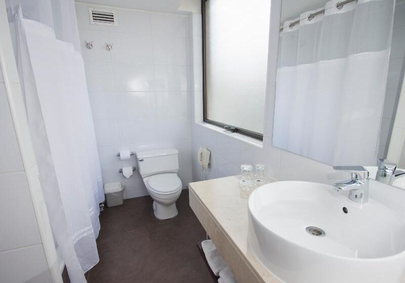 חדר סטנדרט יחיד, Director Vitacura